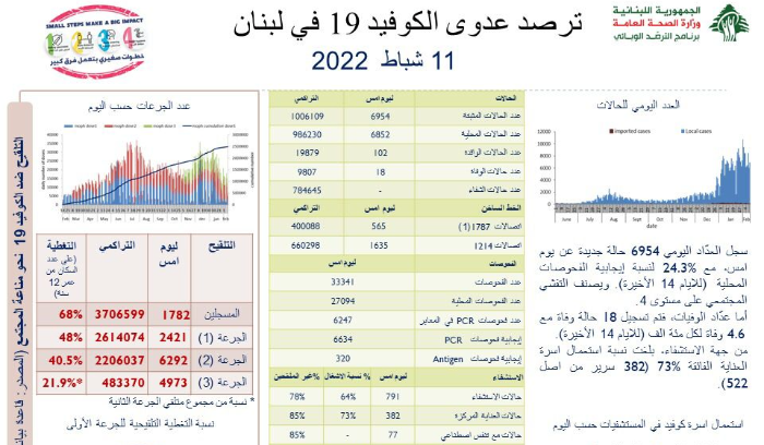 تقرير 11 شباط